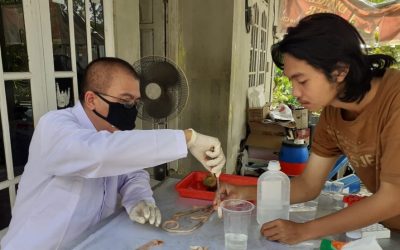 [contoh] Increasing Turkey Productivity, FPP UNDIP Lecturer Develops Alternative Feed for Turkey