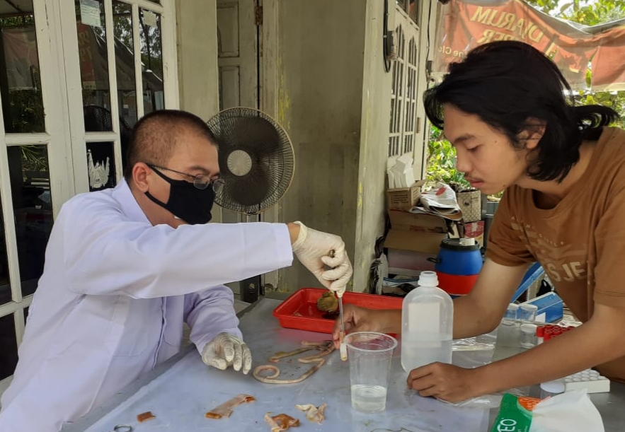 [contoh] Increasing Turkey Productivity, FPP UNDIP Lecturer Develops Alternative Feed for Turkey